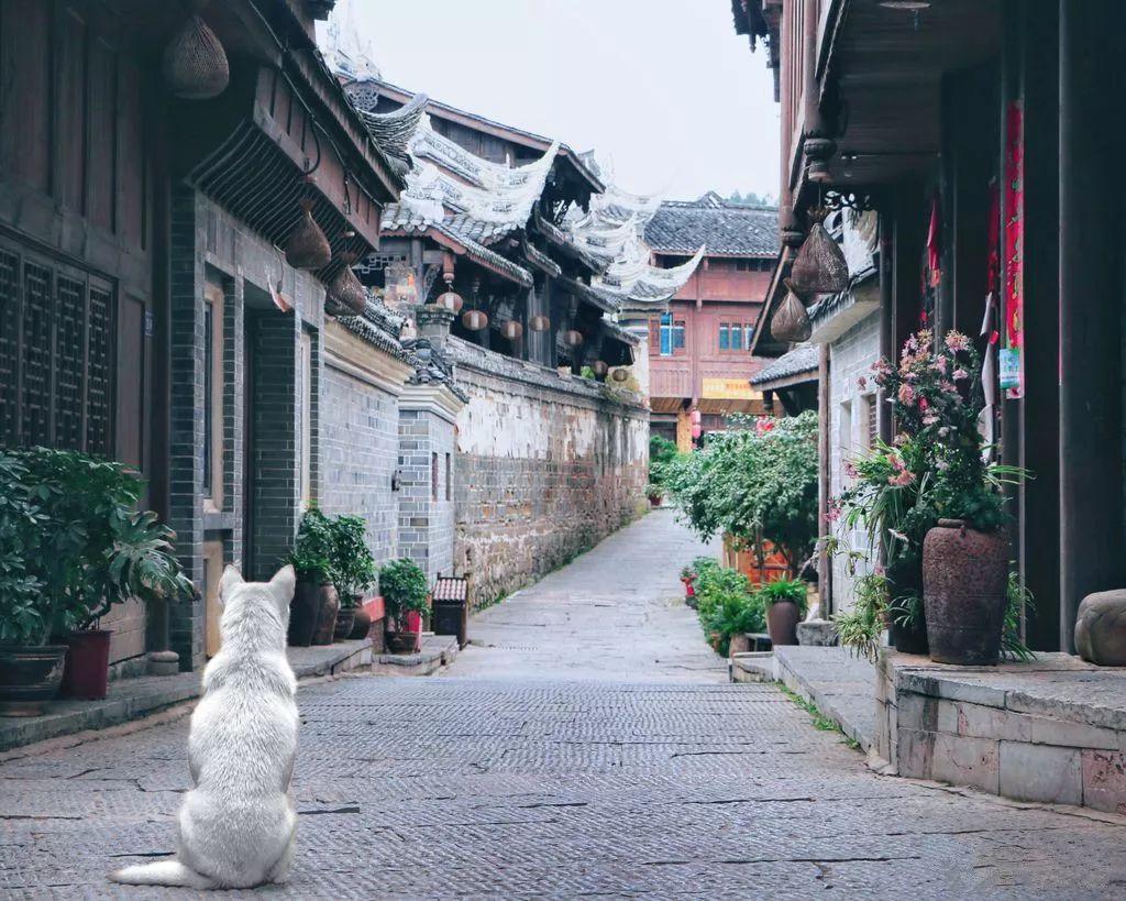哈哈体育官方入口